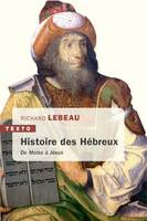 Une histoire des hébreux, De Moïse à Jésus