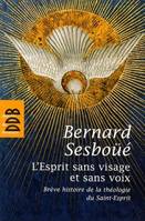 L'Esprit sans visage et sans voix, Brève histoire de la théologie du Saint-Esprit