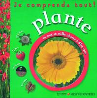 Plante, graines, fruit, pousse, bogue