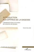 Introduction aux Epîtres de la Sagesse, L'ésotérisme druze à la lumière de la doctrine de Çankara