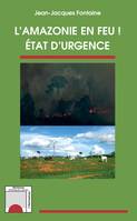 L'Amazonie en feu !, Etat d'urgence