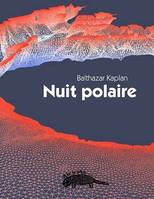 Nuit polaire