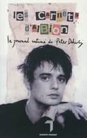 LES CARNETS D'ALBION - LE JOURNAL INTIME DE PETER DOHERTY, le journal intime de Peter Doherty