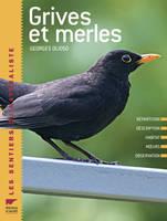 Grives et merles, répartition, description, habitat, moeurs, observation