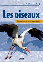 Bien débuter en ornithologie, Les oiseaux