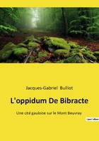 L'oppidum De Bibracte, Une cité gauloise sur le Mont Beuvray