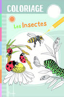 Les insectes - Coloriage