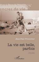 La vie est belle, parfois, Roman