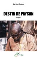 Destin de paysan, Roman