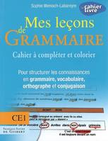 Mes leçons de Grammaire CE1, Cahier à compléter et colorier pour structurer les connaissances en grammaire, vocabulaire, orthogra