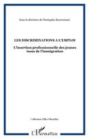 Les dicriminations à l'emploi, L'insertion professionnelle des jeunes issus de l'immigration alerte