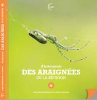 À la découverte des araignées de la Réunion