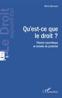 Qu'est-ce que le droit ?, Théorie syncrétique et échelle de juridicité