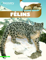 Félins