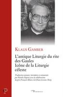 L'antique liturgie du rite des Gaules, Icône de la liturgie céleste