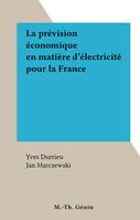 La prévision économique en matière d'électricité pour la France