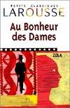 Au Bonheur des Dames, roman