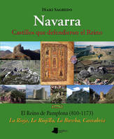 NAVARRA - CASTILLOS QUE DEFENDIERON EL REINO - TOMO IV