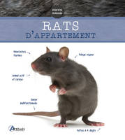 Rats d'appartement