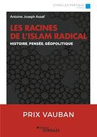 Les racines de l'islam radical, Histoire, pensée, géopolitique