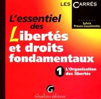 L'essentiel des libertés et droits fondamentaux