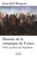 Histoire de la Campagne de France la chute de Napoléon, la chute de Napoléon