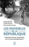 Les invisibles de la République, Comment sauver la jeunesse de la France périphérique ?