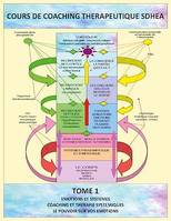 Analyse des systèmes et gestion des émotions, Coaching thérapeutique SDHEA