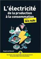 L'électricité, de la production à la consommation pour les nuls