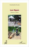 Les Ngam, Histoire et culture