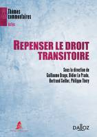 Repenser le droit transitoire, Thèmes et commentaires