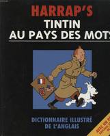 TINTIN AU PAYS DES MOTS, dictionnaire illustré de l'anglais