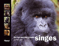 Sur les pas des grands singes