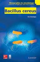 Bacillus cereus