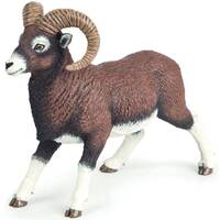 Mouflon