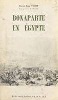 Bonaparte en Égypte, Décembre 1797 - 24 août 1799