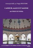 Candeur, malice et sagesse, 400 perles du hodja