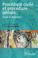 Procédure civile et procédure pénale, Unité ou diversité ?