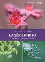 Les secrets de la série photo, Démarche - Cohérence - Impact