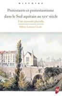 Protestants et protestantisme dans le sud aquitain au XIXe siècle, Une minorité plurielle