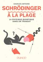 Schrödinger à la plage, La physique quantique dans un transat