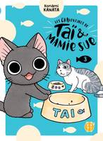 Les chaventures de Taï & mamie Sue, 3, Les Chaventures de Taï et Mamie Sue T03