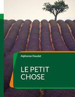 Le Petit Chose, Un roman autobiographique