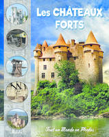 Les châteaux forts