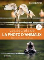 Les secrets de la photo d'animaux , matériel, prise de vue, terrain