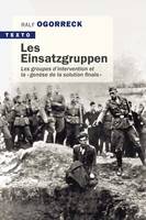 Les einsatzgruppen, Les groupes d'intervention et la « génèse de la solution finale »