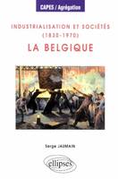 Industrialisation et sociétés (1830-1970) : la Belgique, la Belgique