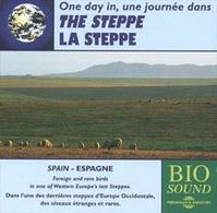 UNE JOURNEE DANS LA STEPPE (PIERRE HUGUET)