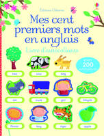 Mes cent premiers mots en anglais - Livre d'autocollants