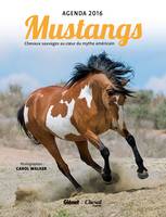 Agenda Mustangs 2016, Chevaux sauvages au coeur du mythe américain